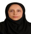 Dr. Zeinab Hamzehgardeshi